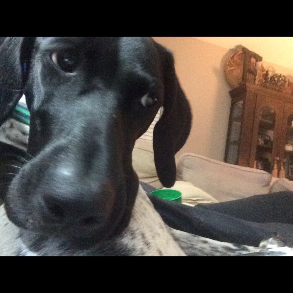 Meet your Posher, Kim